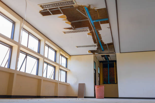 Best Professional water damage repair  in Broadview Park, FL