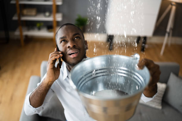 Best Water damage restoration services  in Broadview Park, FL