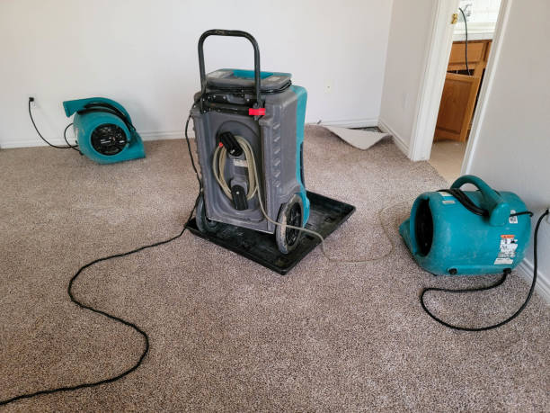 Best Water damage cleanup near me  in Broadview Park, FL