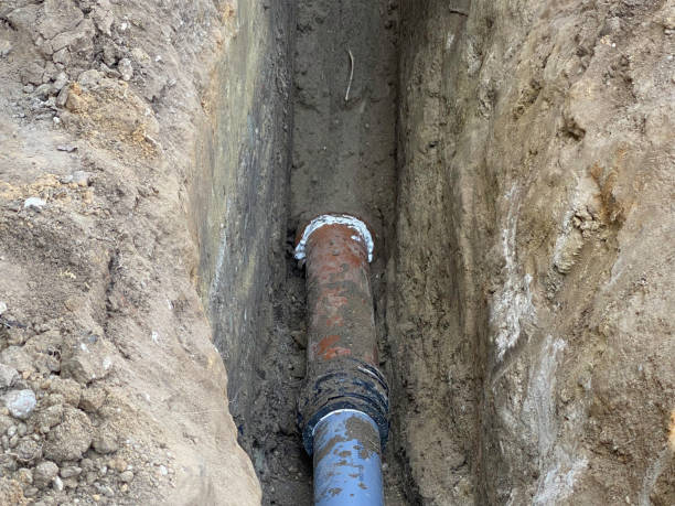 Best Emergency water extraction  in Broadview Park, FL