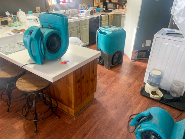 Broadview Park, FL Water damage restoration Company
