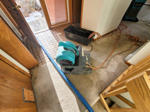 Best Flood restoration services  in Broadview Park, FL