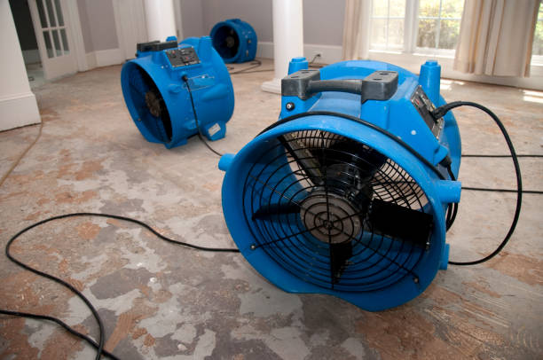 Best Local water damage restoration  in Broadview Park, FL