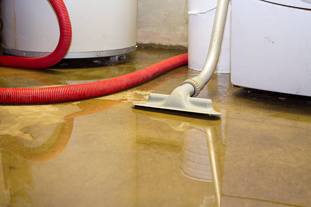 Best Commercial water damage restoration  in Broadview Park, FL