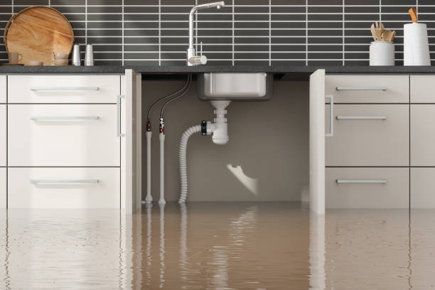 Best Fire Damage Restoration  in Broadview Park, FL