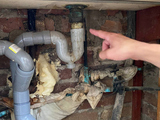 Best Water damage restoration near me  in Broadview Park, FL