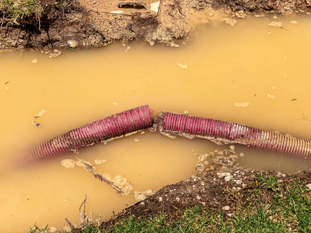 Best Sewage cleanup and water damage restoration  in Broadview Park, FL