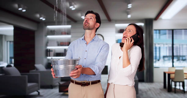 Best Flood restoration services  in Broadview Park, FL